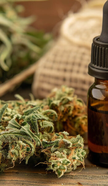 Cannabis CBD in einer Flasche für medizinische Anwendung